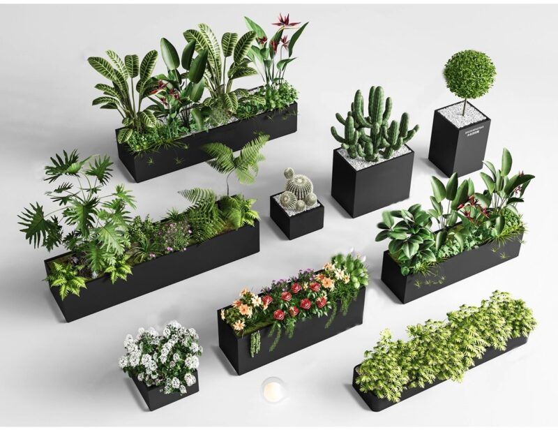 图片[3]-绿植植物花盆盆栽盆景松树单体草图大师SU模型室内花卉花草素材库-KK资源网