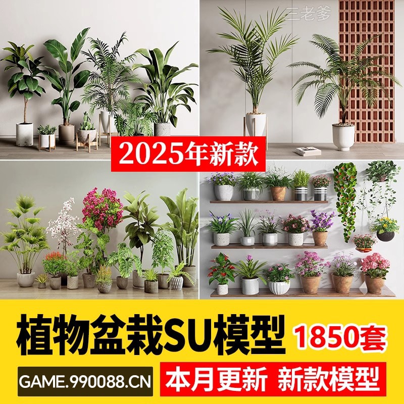 绿植植物花盆盆栽盆景松树单体草图大师SU模型室内花卉花草素材库-KK资源网