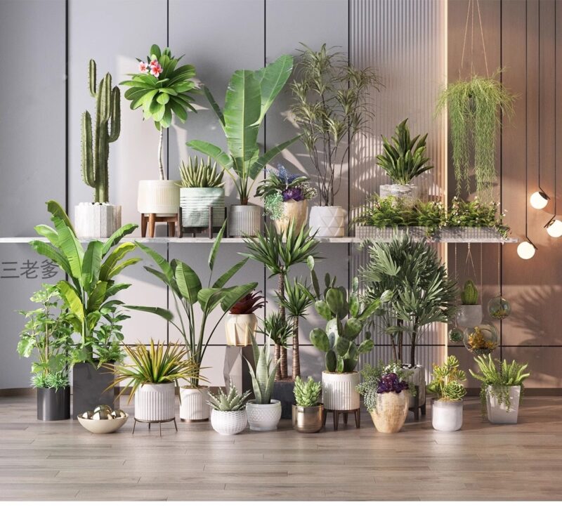 图片[4]-绿植植物花盆盆栽盆景松树单体草图大师SU模型室内花卉花草素材库-KK资源网