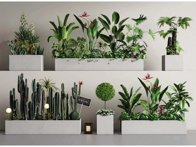 图片[6]-绿植植物花盆盆栽盆景松树单体草图大师SU模型室内花卉花草素材库-KK资源网