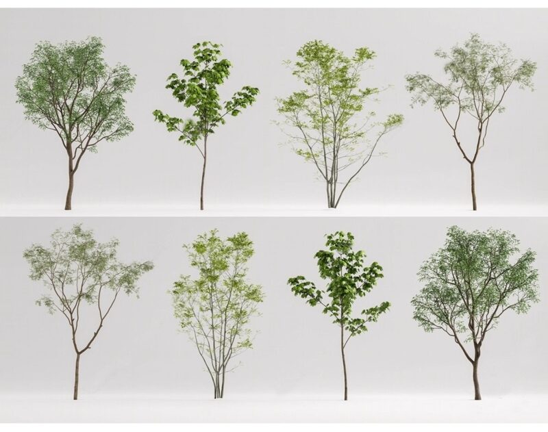 图片[4]-园林景观庭院植物三维真实花草树木乔木花卉灌木草图大师SU模型库-KK资源网