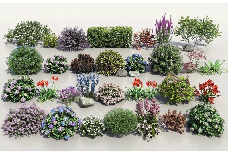 图片[7]-园林景观庭院植物三维真实花草树木乔木花卉灌木草图大师SU模型库-KK资源网