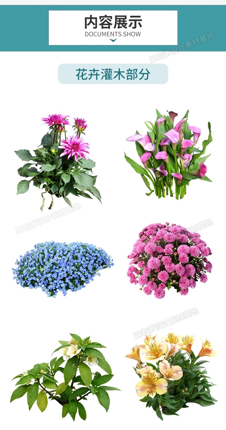 图片[3]-园林景观庭院植物三维真实花草树木乔木花卉灌木草图大师SU模型库-KK资源网