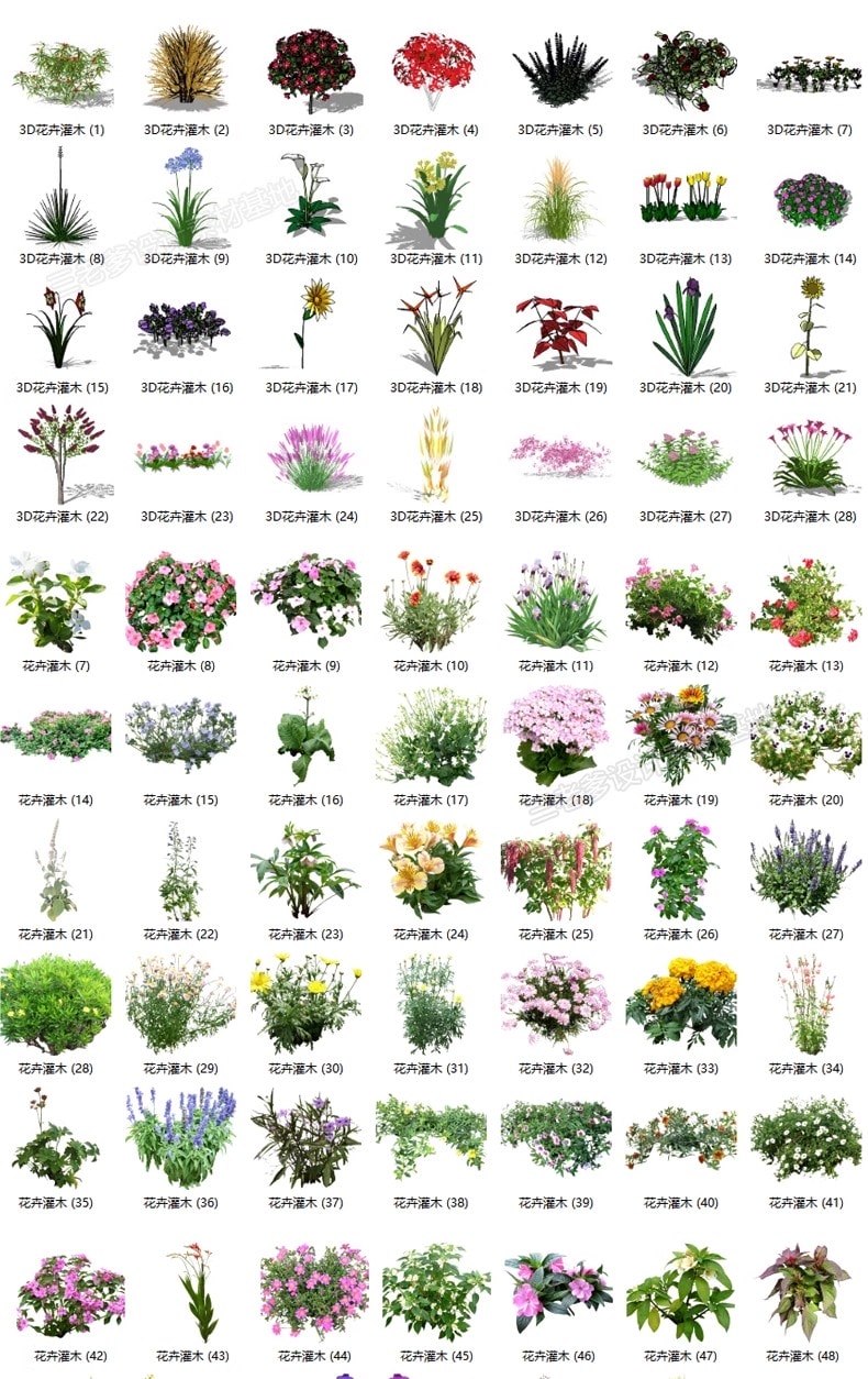 图片[9]-园林景观庭院植物三维真实花草树木乔木花卉灌木草图大师SU模型库-KK资源网