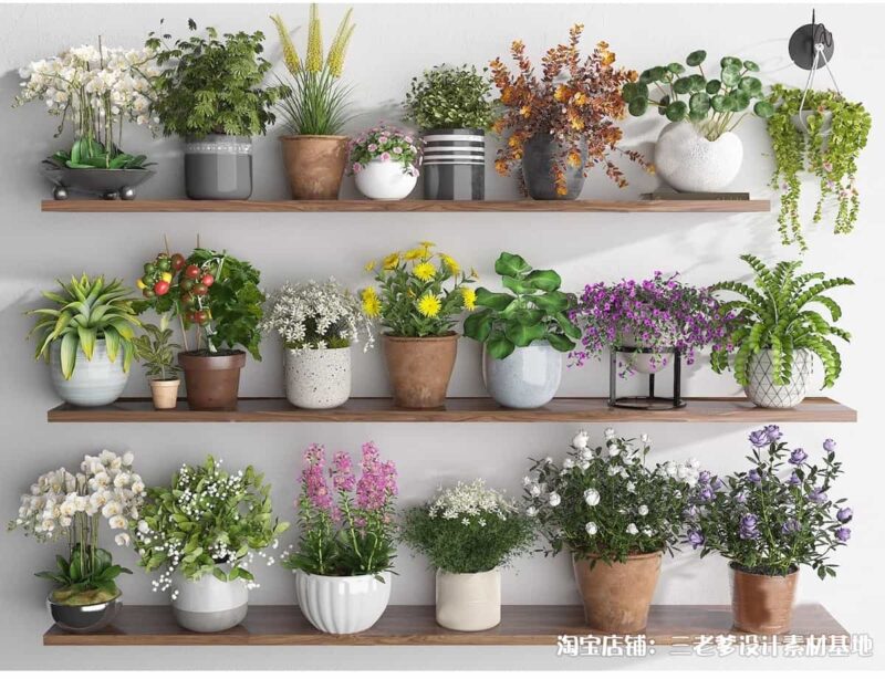 图片[3]-花架盆栽装饰架su模型花卉绿植室内阳台造景架子摆件植物草图大师-KK资源网