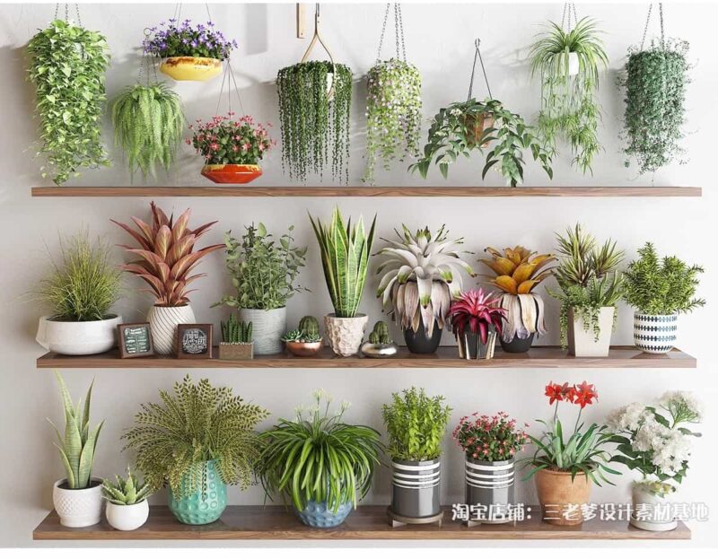 图片[4]-花架盆栽装饰架su模型花卉绿植室内阳台造景架子摆件植物草图大师-KK资源网