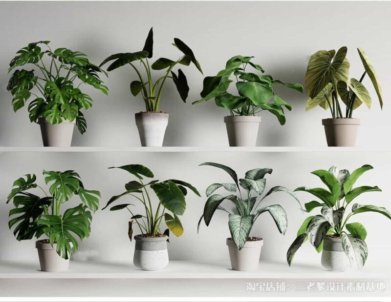 图片[7]-花架盆栽装饰架su模型花卉绿植室内阳台造景架子摆件植物草图大师-KK资源网
