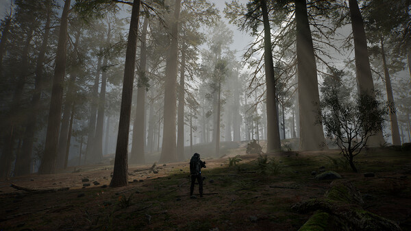 生命效应/LIFE EFFECT全DLC免安装中文学习版夸克网盘下载